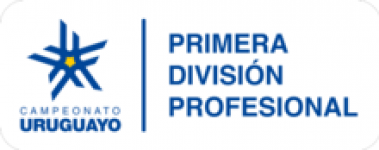 Primera División - Apertura logo