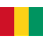 Guinea team logo