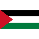 Away team Palestine logo. Indonesia vs Palestine predictions and betting tips