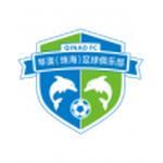 Home Team Logo