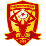 Home Team Logo