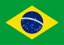 Brazil team logo