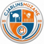 Home Team Logo