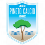 Pineto logo